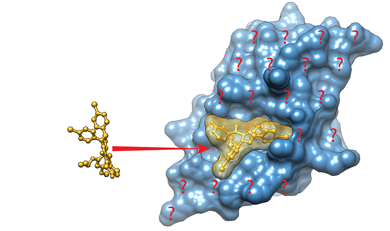 BioNMR in drug research